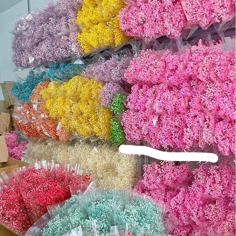 Bó 120gr hoa baby khô decor trang trí nhà cửa, hoa khô trang trí nội thất siêu xinh