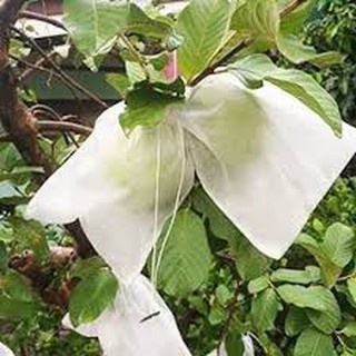 100 Túi 16x21cm Túi Bọc Hoa Quả Ổi, Bơ, Xoài Na... Có Dây Buộc - NGUOI LAM VUON