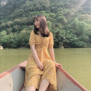 Đầm hoa nhí