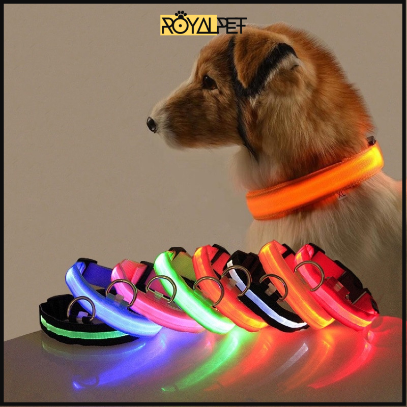 VÒNG CỔ CHÓ MÈO CÓ ĐÈN PHÁT SÁNG