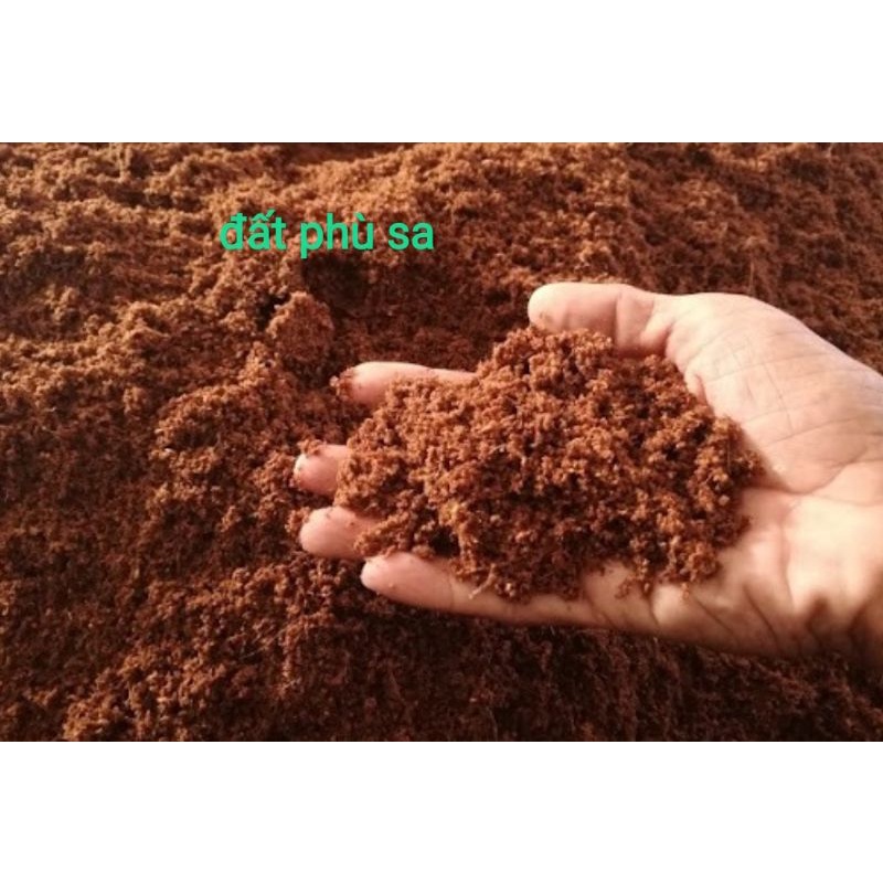 Đất phù sa, màu mỡ phì nhiêu Sông Hồng