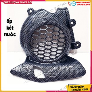 🥇 Ốp Carbon Vision 2021 - Vision 2022 ( giá lẻ từng món) 🥇 (hình thật)