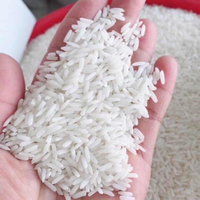 Gạo Lài Sữa 5Kg - Cơm mềm dẻo, thơm nhẹ, vị ngọt