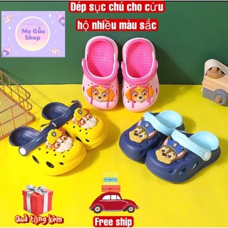 Dép sục chú chó cứu hộ