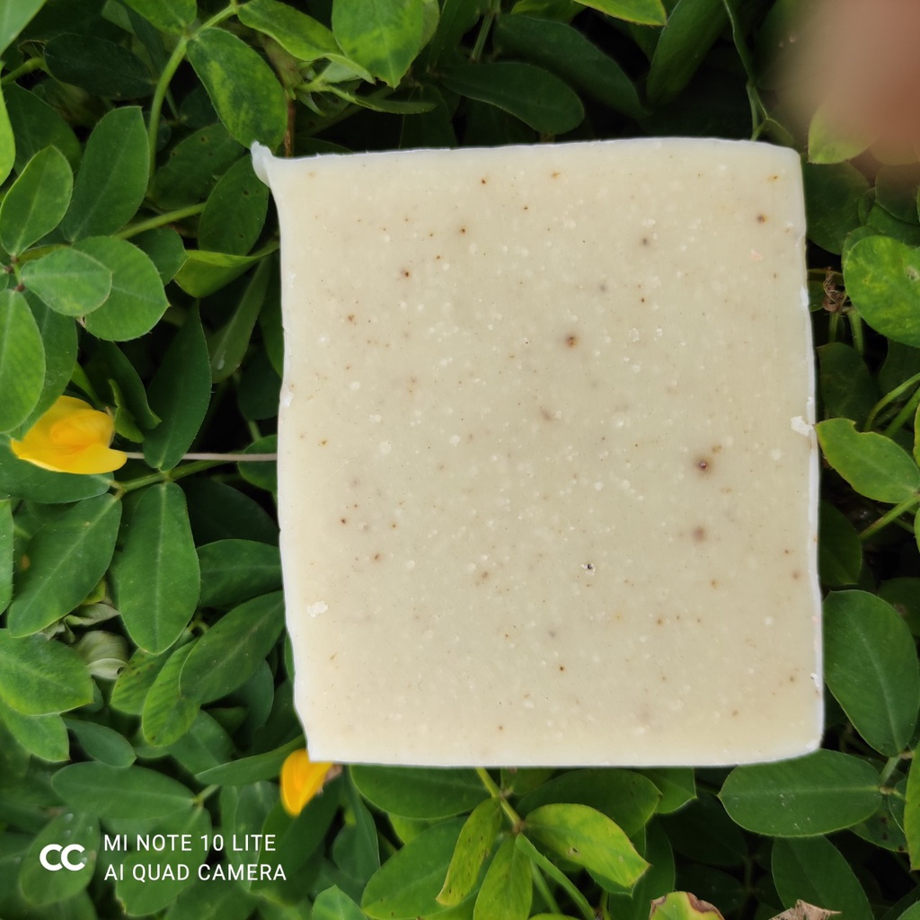 Soap tắm bồ hòn