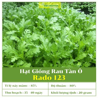 Hạt Giống Rau Tần Ô Rado 123 Dễ Trồng Và Chăm Sóc, Cho Năng Suất Cao, Chất Lượng Tốt