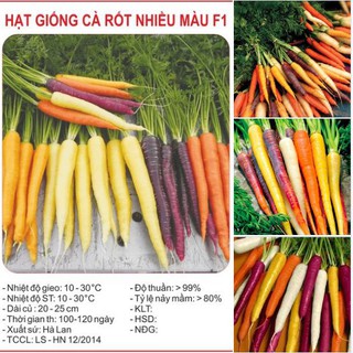 Hạt giống cà rốt mix màu - 1 gói 0,3gram
