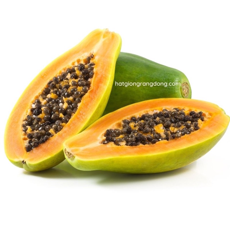 Hạt Giống Đu Đủ Ruột Vàng Long An (5 hạt)