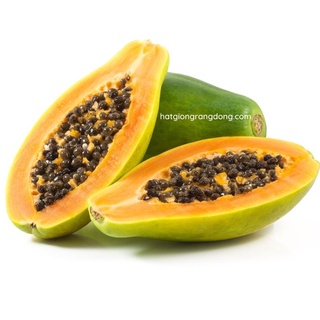Hạt giống đu đủ ruột vàng long an