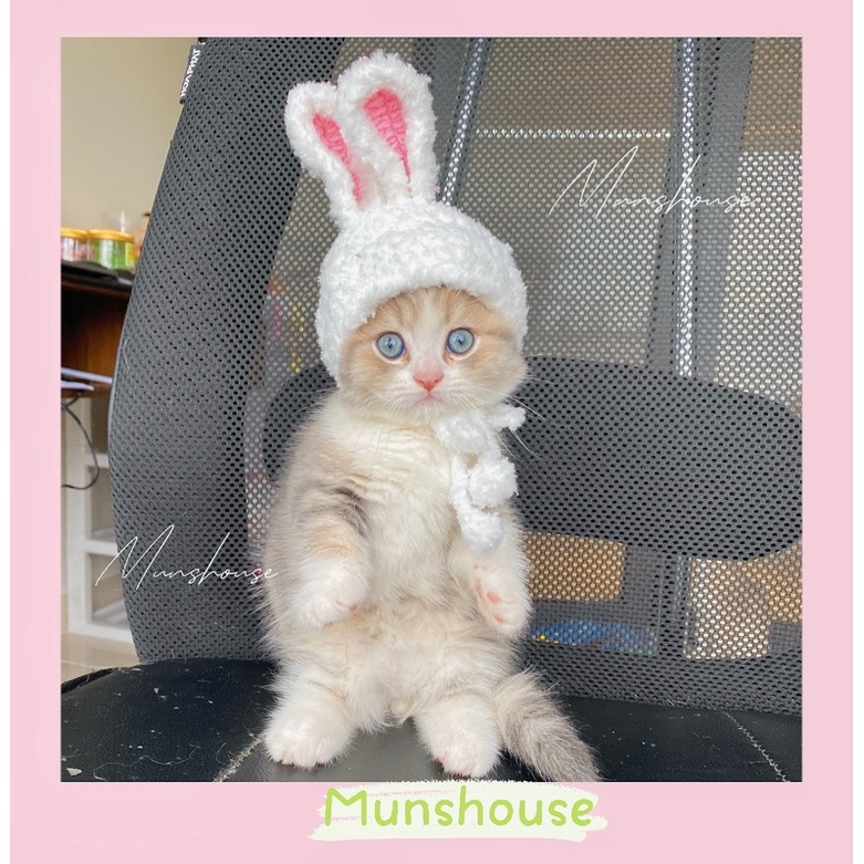 Mũ len thỏ lông cho thú cưng