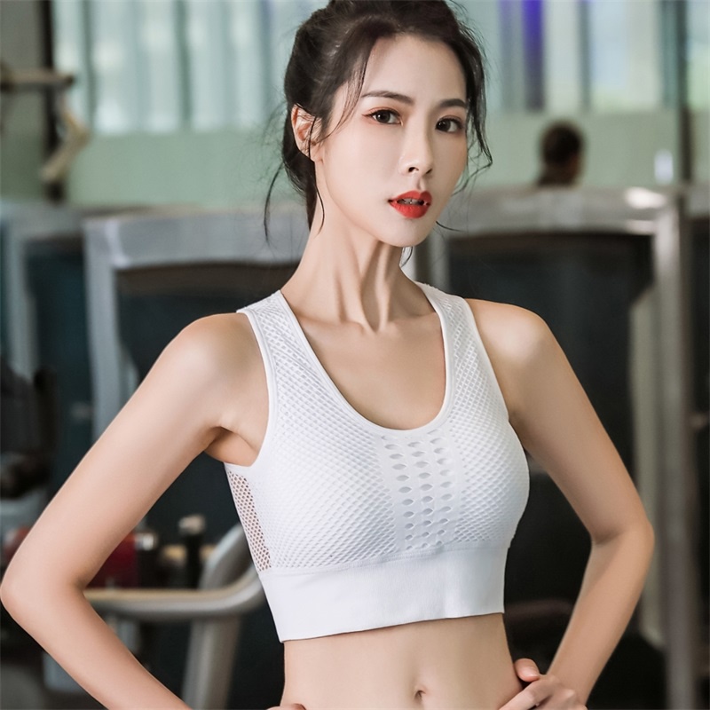 Áo Ngực Thể Thao Nâng Ngực Thoáng Khí Chống Sốc Phong Cách Hàn Quốc Gợi Cảm Cho Nữ B0250
