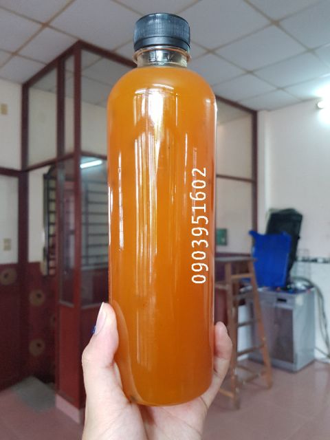 [Ảnh Thật] 500ml Sinh Tố Berrino Các Vị