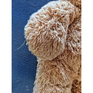 Gấu Teddy OSSSO - Hàng nhập Thái Lan