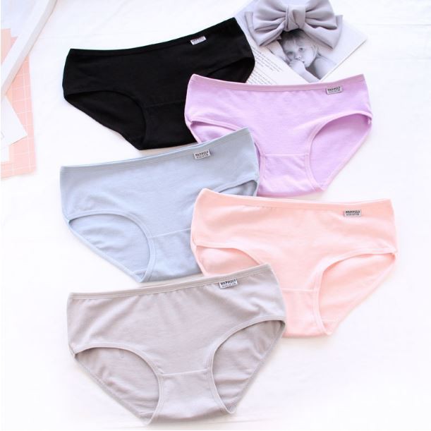 Quần chip lót nữ Pulo kháng khuẩn cotton thun lạnh dễ thương sexy gợi cảm rẻ đẹp - Đồ lót nữ A001