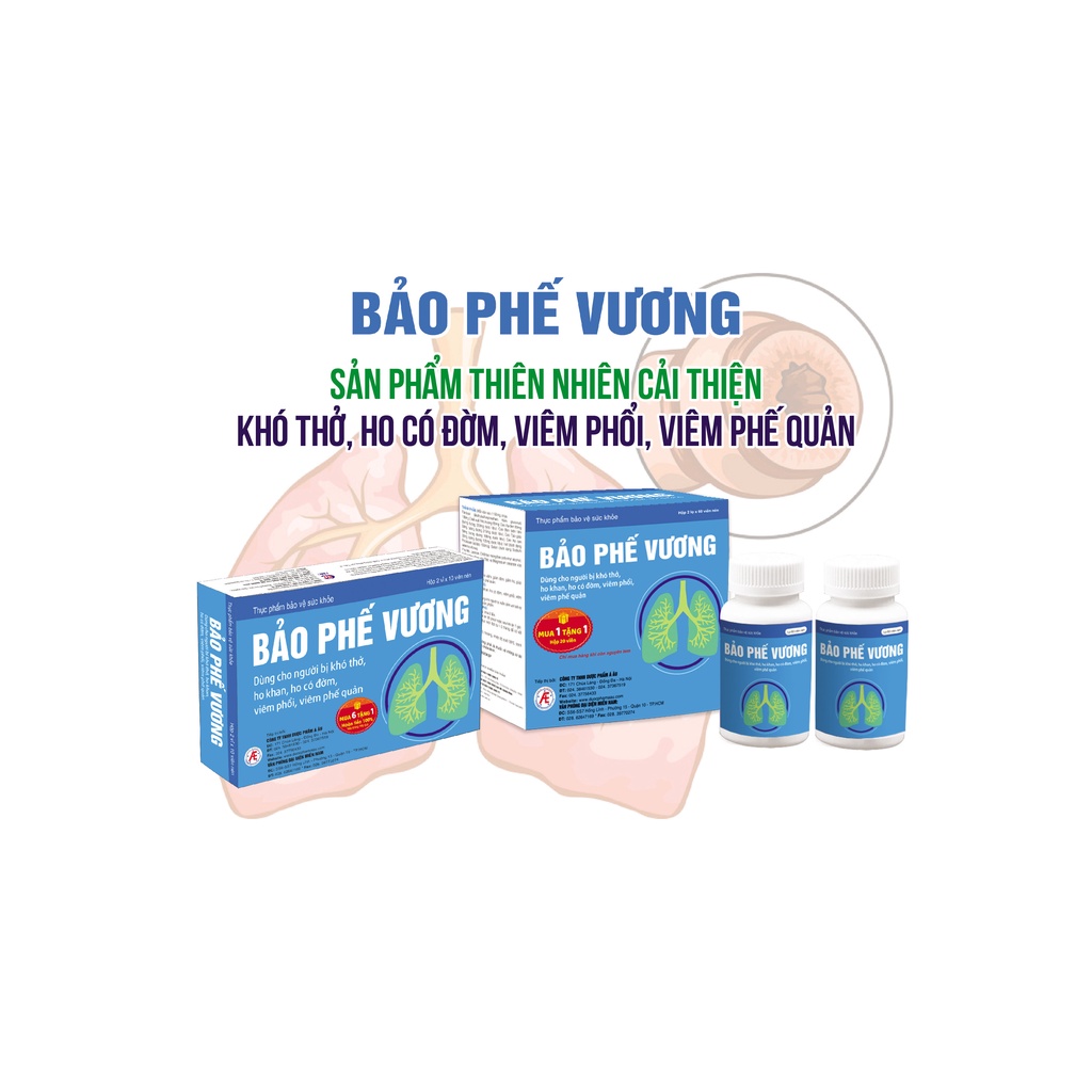 Bảo Phế Vương – Viên uống hỗ trợ giảm triệu chứng viêm phế quản (Hộp 120 viên)