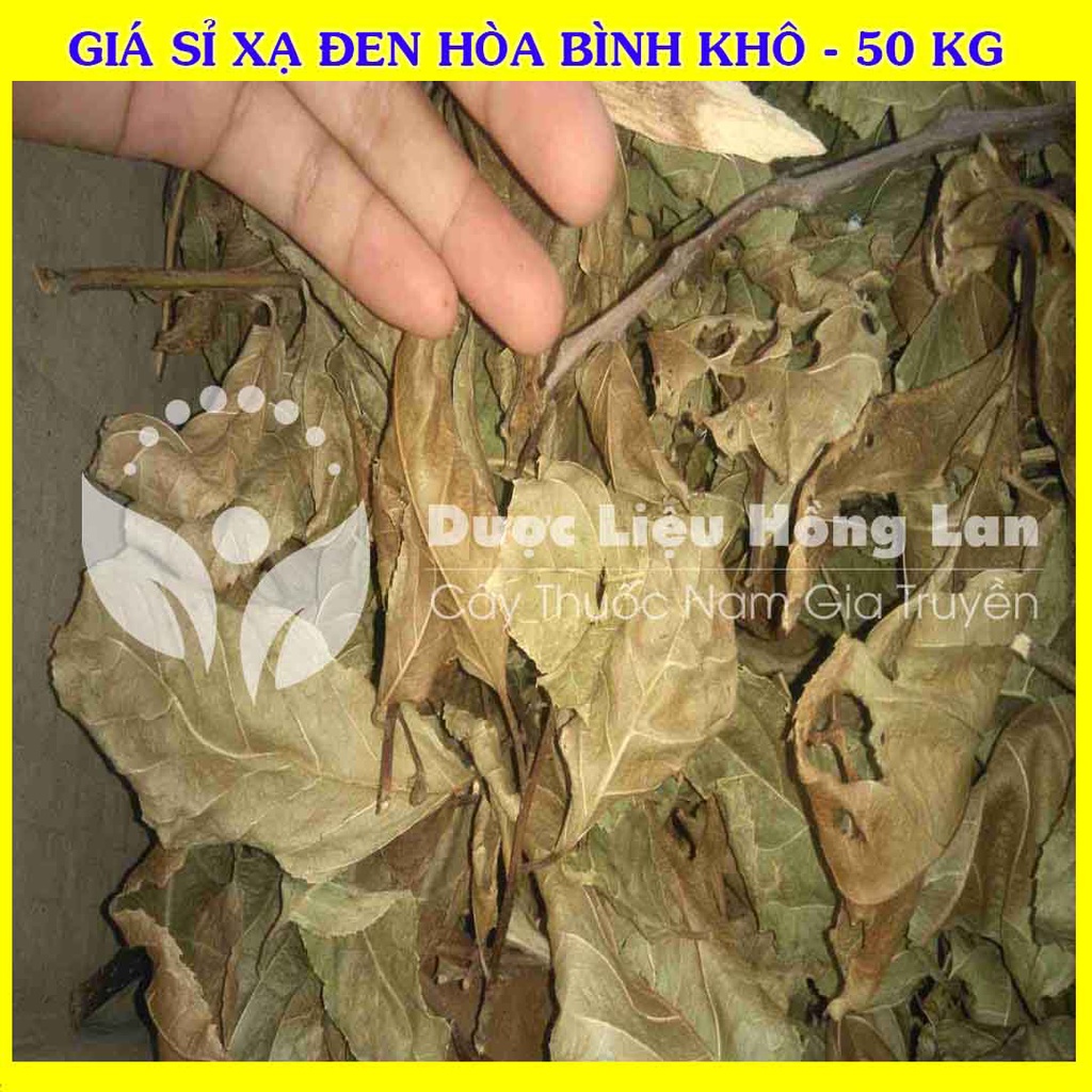 Giá sỉ Cây XẠ ĐEN HÒA BÌNH khô đóng gói 50kg - Công Ty Dược Liệu Hồng Lan