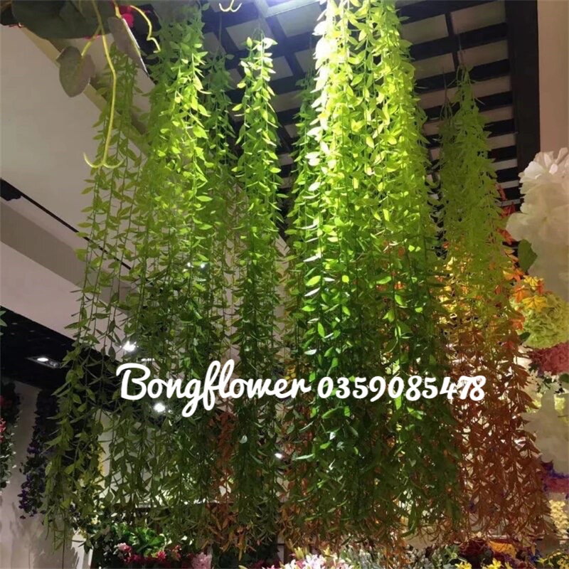 Dây Cúc Tần Ấn Độ Giả Dài 100cm một cụm 5 nhánh Trang Trí Decor Siêu Đẹp | BigBuy360 - bigbuy360.vn