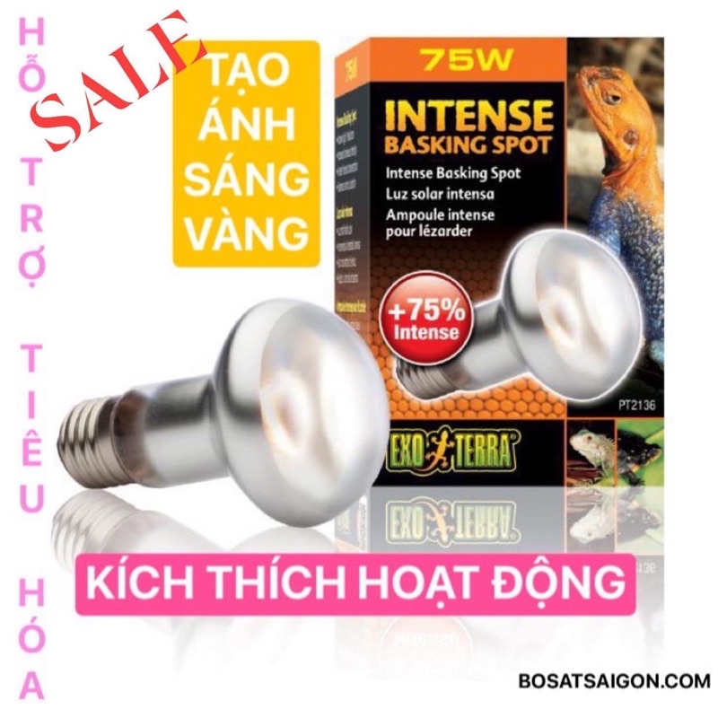 ĐÈN SƯỞI BAN NGÀY UVA CHO BÒ SÁT, RÙA 75W CHÍNH HÃNG EXO