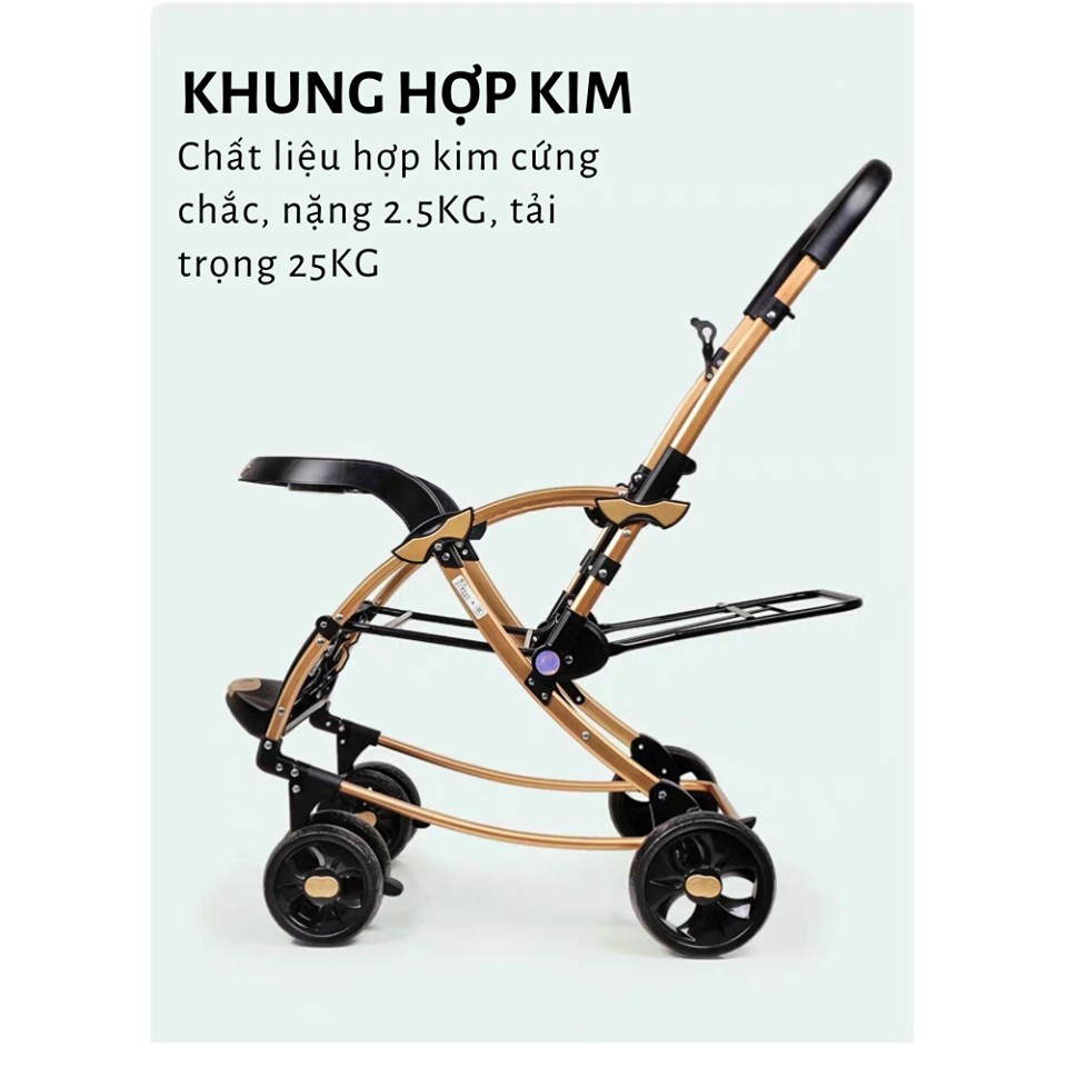 Xe_đẩy cao cấp C3