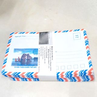 Bì thư loại đẹp , dày 95 chiếc .