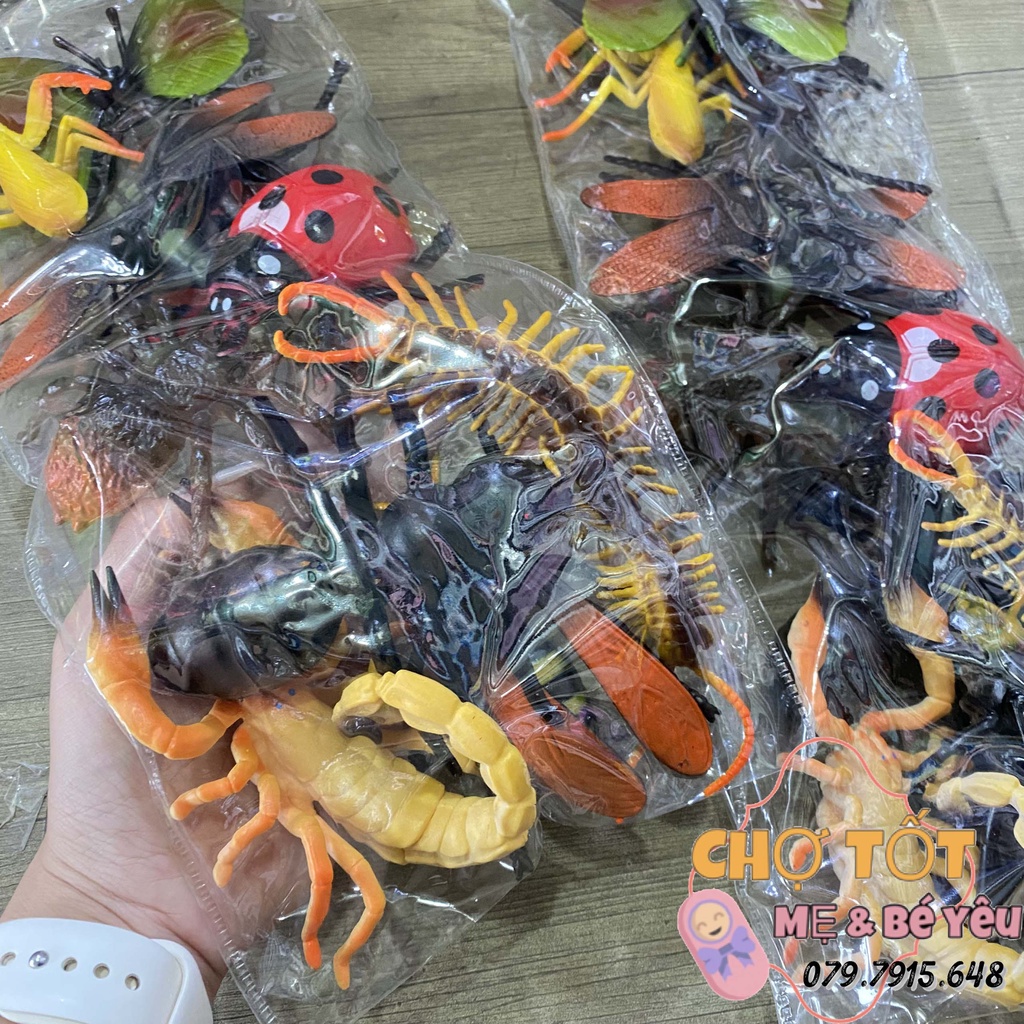 Bộ Đồ Chơi Côn Trùng Bằng Nhựa Dẻo Loại Lớn (HT)