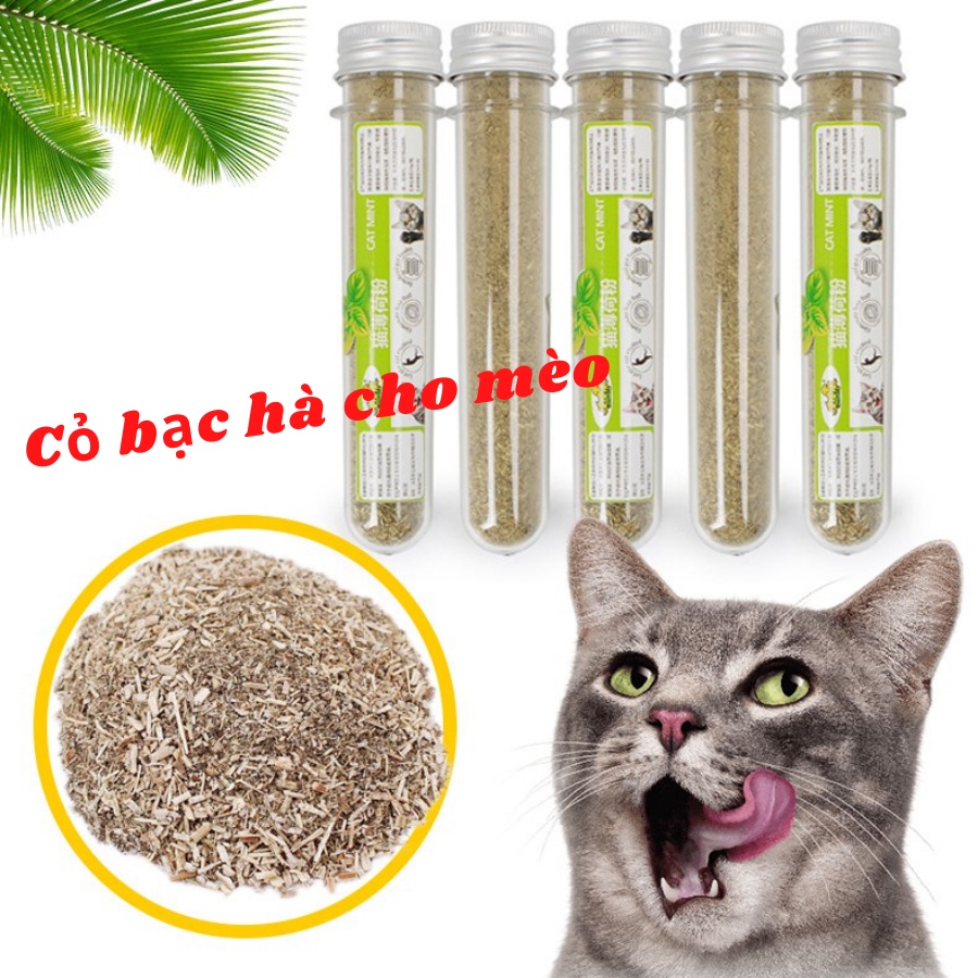 Cỏ bạc hà cho mèo - Cỏ mèo Catnip (ống 10g)