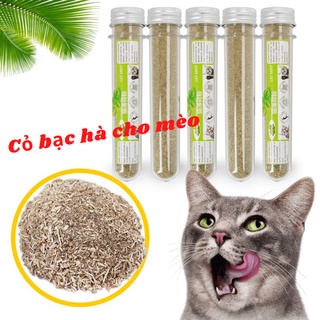 Cỏ bạc hà cho mèo - Cỏ mèo Catnip