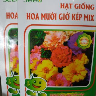 Combo 3 gói hạt giống hoa mười giờ- tặng kèm 1 gói đu đủ vàng 50k - Rau củ quả trồng tại vườn, sân thượng, nông trang, b