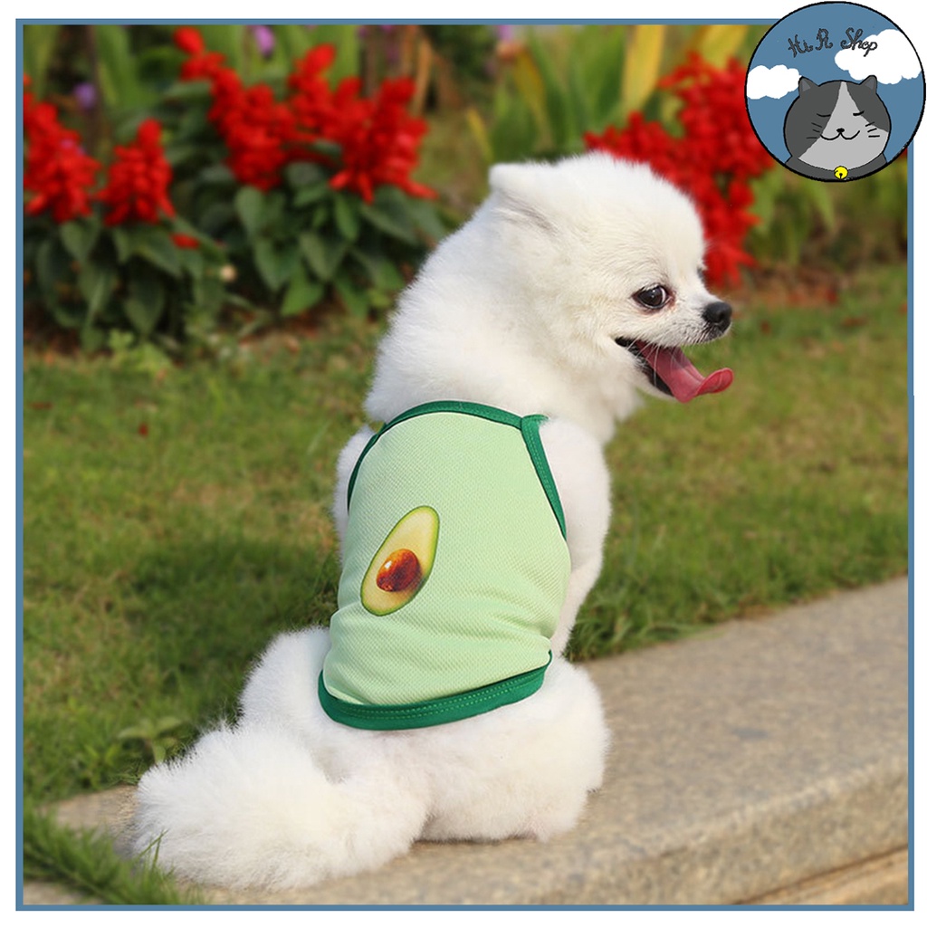 Áo Ba Lỗ Sát Nách Thiết Kế Xinh Xắn Cho Thú Cưng Áo Mùa Hè Cho Chó Mèo