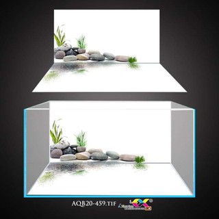 Tranh 3D dán bể cá