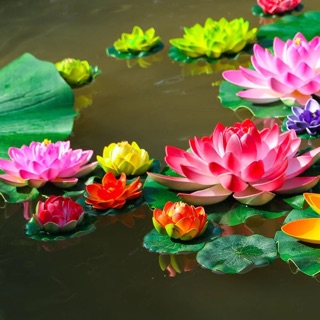 Combo 10 bông hoa súng trang trí bể cá( bông nhỏ đường kính 10cm)