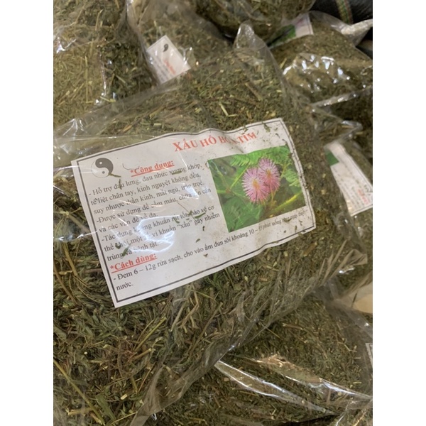 Cây xấu hổ tím 1kg