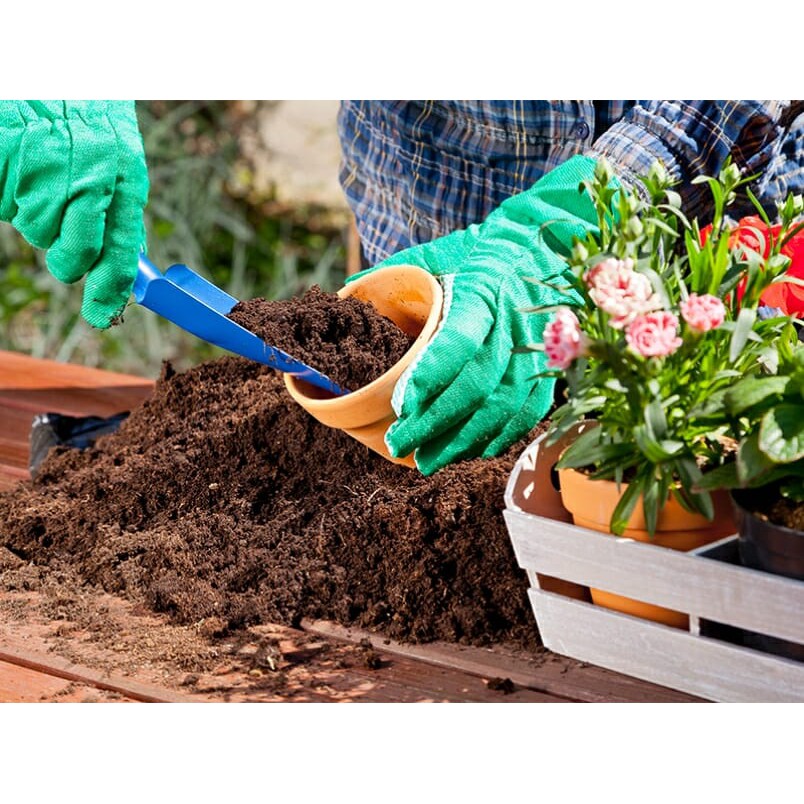 Mụn Xơ Dừa Trồng Rau, Hoa Kiểng Đã Xử Lý