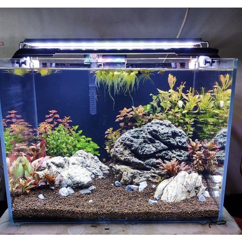Đèn Led Bể Cá 3 Chế Độ Màu Aquarium Light RGB Cho Bể Cá Cảnh-Bể Thủy Sinh-Led Đổi Màu