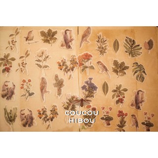 STICKER HOA CỔ ĐIỂN2  lớn 60 tấm