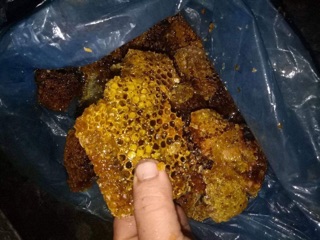 Mật Ong đá giá sỉ