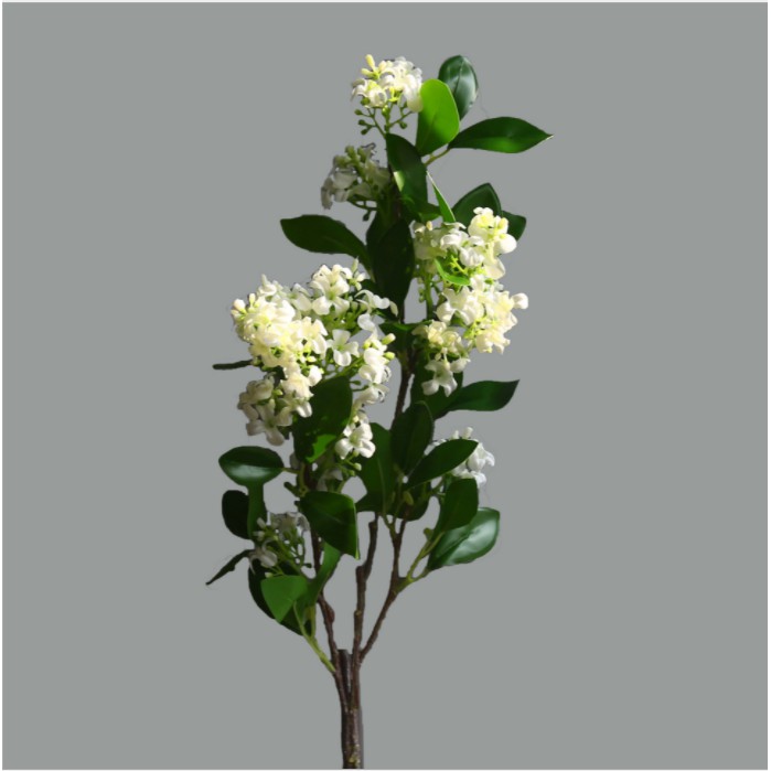 Hoa giả-LỤA cao cấp-cành hoa nguyệt quế 70cm