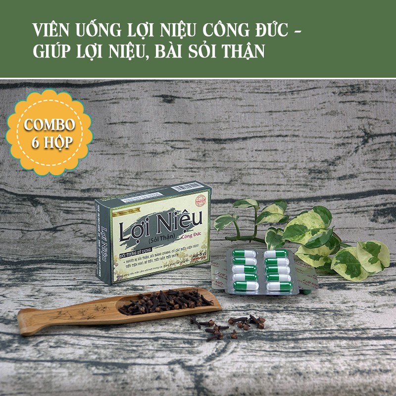 Combo 6 hộp viên uống Lợi Niệu Công Đức - Giúp lợi niệu, bài sỏi thận