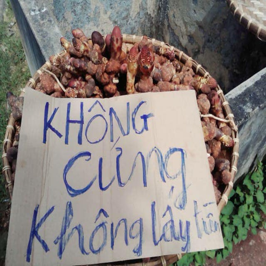 Ngọc Cẩu Khô 01KG