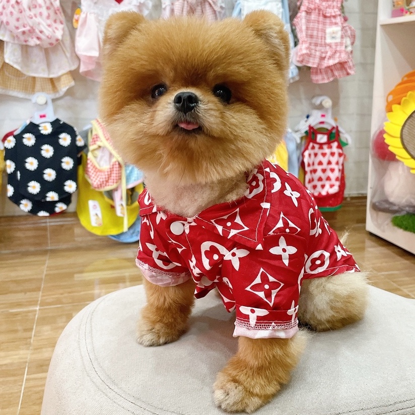 Áo sơ mi đỏ hoạ tiết sang chảnh cho chó mèo