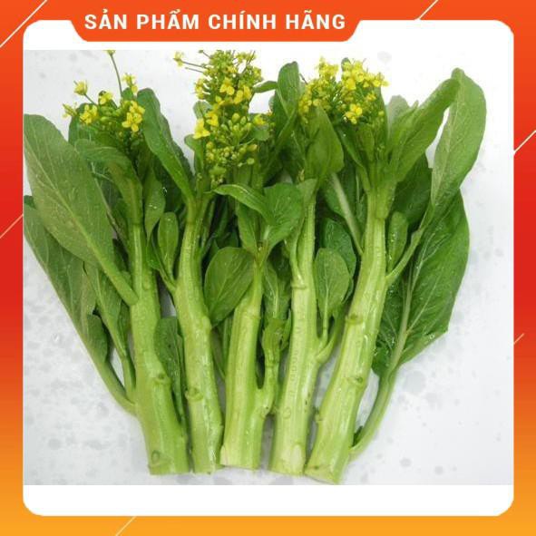 1KG Hạt giống rau Cải Ngồng Xanh thân mập_Cải Ngồng chịu nhiệt cao sản_Cải làn_cải rổ