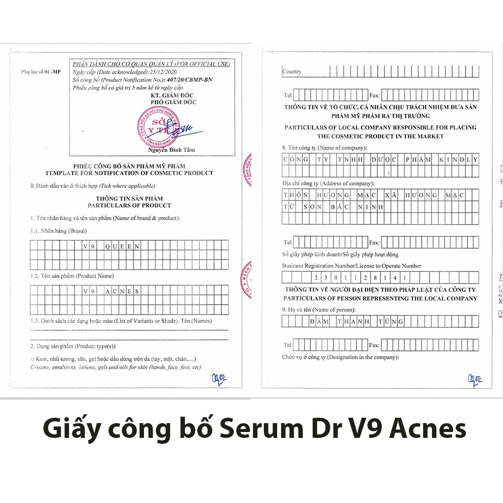 Bộ Đôi Dành Cho Da Mụn, Da Dầu - Mỹ Phẩm Bà Bầu V9QUEEN