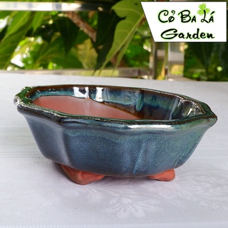 chậu cây bonsai  hình chiếc lá