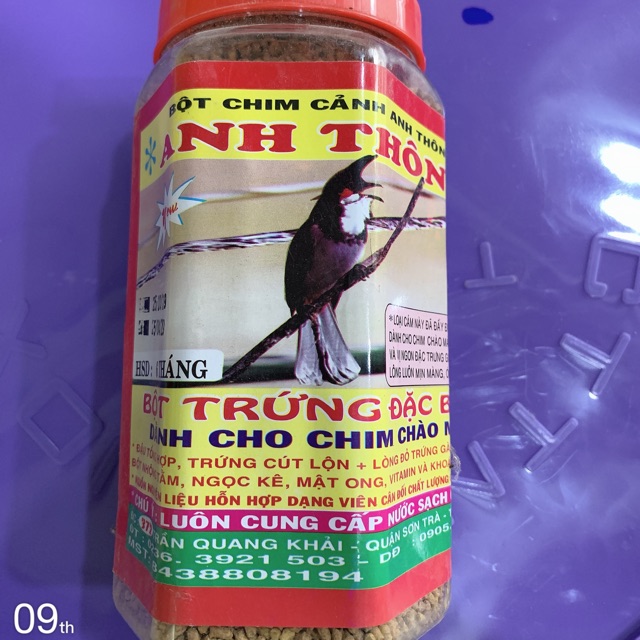 Cám Chim Chào Mào Anh Thông