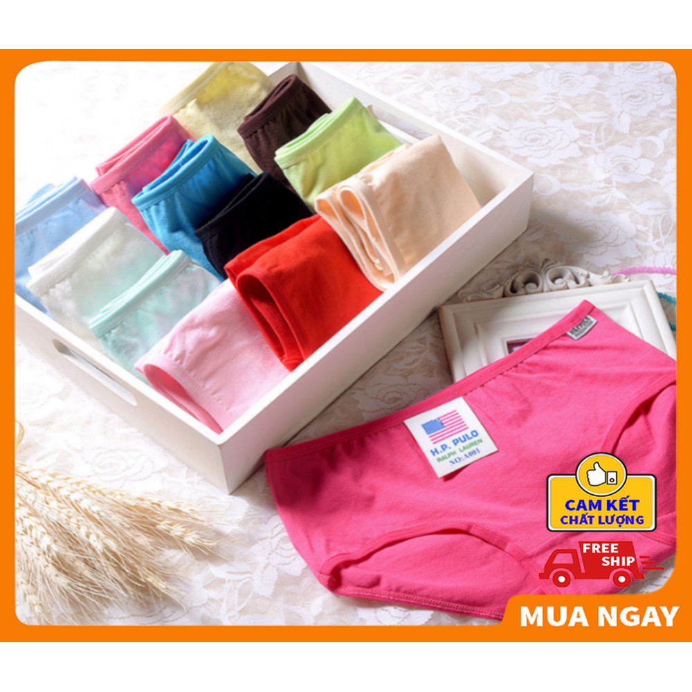 SIÊU SALE COMBO 5 Quần Lót Nữ Trơn Cotton cao cấp DL01