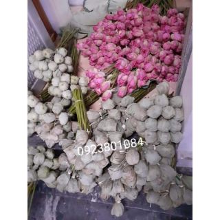 Chè sen Tây Hồ-Chè sen