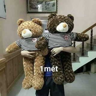 Gấu teddy 1m