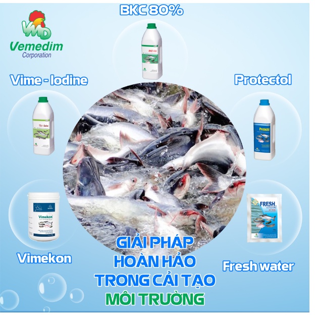 Vemedim Anti-fungi dùng cho cá cảnh bị nấm, nấm môi trường nước nuôi cá, nhiểm khuẩn mang, thối đuôi, chai 100ml
