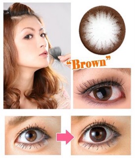 100 lens kèm khay đơn