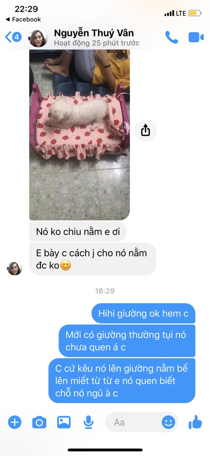 Giường gỗ cho thú cưng màu hồng